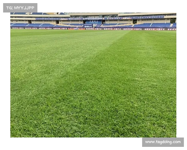 球场草皮养护技巧与管理方法探讨提升运动表现与延长使用寿命