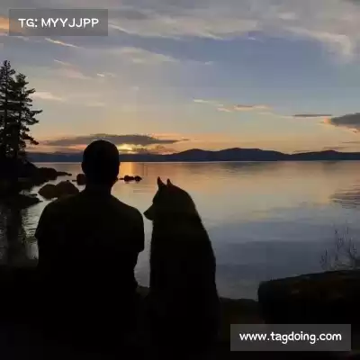 贾杨椒